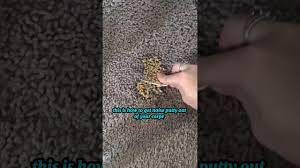 how to get noise putty out of carpet