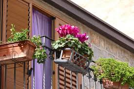 Amazing Balcony Planter Ideas Plantly