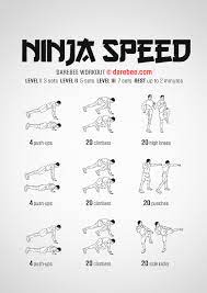 ninja sd workout