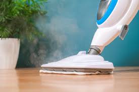 8 unexpected ways to use a steam cleaner