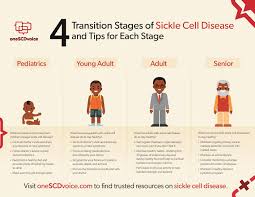 4 transition ses of sickle cell