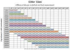 Bra Size Cup Volume Chart