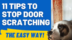 Stop Your Dog Scratching The Door 11
