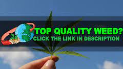 If you are going with the basic features, as mentioned in the article here, the medical cannabis delivery app development cost range will come somewhere around usd 40,000 to usd 50,000. Amsterdam Weed Quotes Best Coffee Shop In Amsterdam