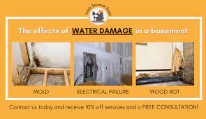 Water Damage In The Basement Toledo