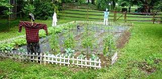 size vegetable garden