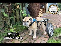diy dog wheelchair how to you