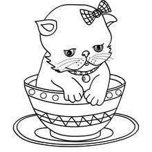 Top 15 kitten coloring pages for kids: Kitten In Cup Coloring Page Coloring Page Animal Coloring Pages Pet Coloring Pages Cat Col Animal Coloring Pages Kitten Coloring Book Cat Coloring Page
