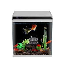 These aquarium coffee tables are easy to set up, don't cost a ton, and can give a good feel to your guests. The Best Popular New Design Coffee Table Aquarium Buy Coffee Table Aquarium Product On Alibaba Com
