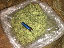The other reason is that you know you should start consuming weed with a small or tolerant amount. How Many Grams Are In A Pound Of Weed A Pound Of Weed Cost