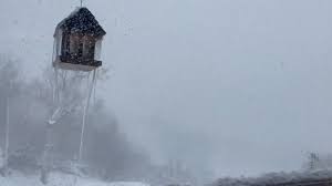 Snow Squall Slam Steamboat Springs ...