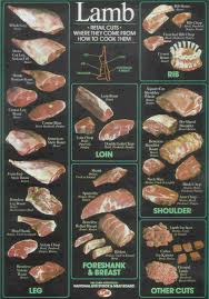 Lamb Cut Chart The Foods Of The World Forum