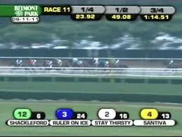 2011 Belmont Stakes