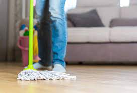 clean dog urine from laminate floors