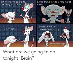 Facebook is showing information to help you better understand the purpose of a page. 25 Best Memes About Pinky And The Brain Dominate Pinky And The Brain Dominate Memes