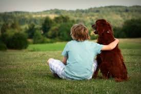 Image result for Picture of a child loving a dog