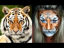 tiger face paint tiger face painting
