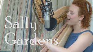 sally gardens harp voice christy