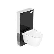 City Wall Hung Toilet With Conceal Tank