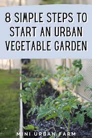 How To Start An Urban Vegetable Garden