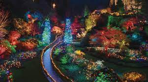 butchart gardens christmas lights