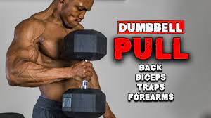 dumbbell pull workout for building