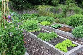 Raised Bed Soil Vs Garden Soil