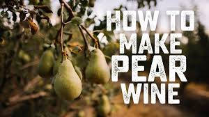 pear wine recipe capturing orchard