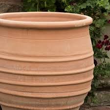 Buy Fraska Terracotta Pot Delivery By