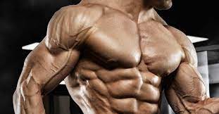 muscle growth and strength training for