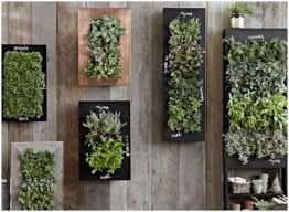 Create Indoor Vertical Garden