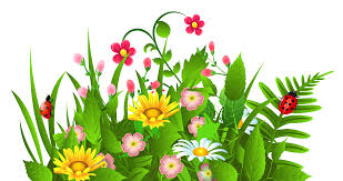 Spring Flowers Clip Art Dont Dont Forget To Link To