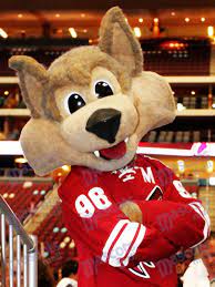 Check out what a typical game day is like for the arizona coyotes mascot. Arizona Coyotes Howler The Coyote Wolf Mascot Costume