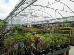 Canopy Structures For Garden Centre