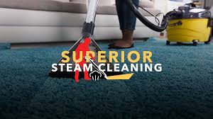 best steam cleaning company ga