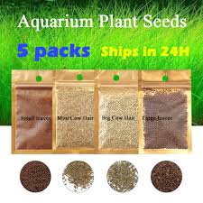 3 5g aquarium aquarium plant seeds fish