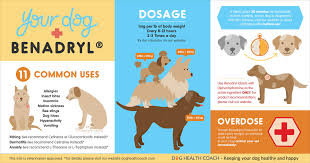 benadryl for dogs uses side effects