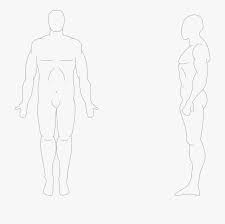 Human Body Outline Png Figure Drawing 1950894 Free