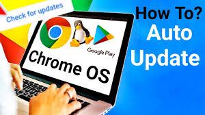 A simple way to update the chrome browser on windows 10 pc or laptop. How To Update Your Chrome Os Installation On Pc Or Laptop Youtube