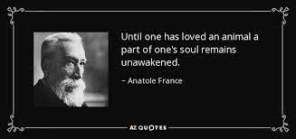 I prefer the folly of enthusiasm to the indifference of wisdom. Anatole France Quote Until One Has Loved An Animal A Part Of One S