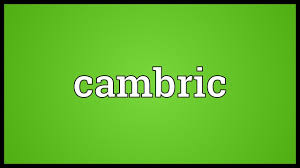 Subtitle edit is a powerful and comprehensive application designed specifically to create, edit and synchronize subtitles and sync them with movie playback. Cambric Meaning Youtube