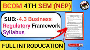 4 3 business regulatory framework nep