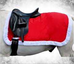 santa christmas exercise sheet pony cob