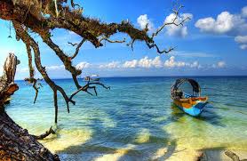 Image result for andaman nicobar situated in ?
