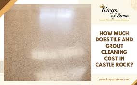 grout cleaning cost in castle rock