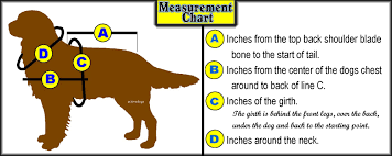 Measurement Color Charts Animals Service Dogs Dog