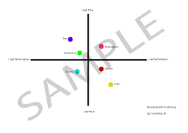 What Is A Positioning Map In Marketing How Can We Create