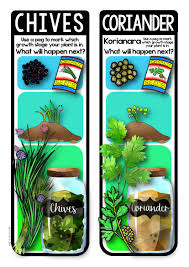 herb garden labels track the growth of