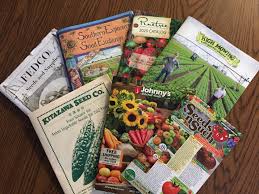 seeds and seed catalog jargon