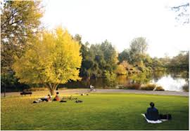 Campus Life   UC Davis UC admissions decisions Graduate Programs